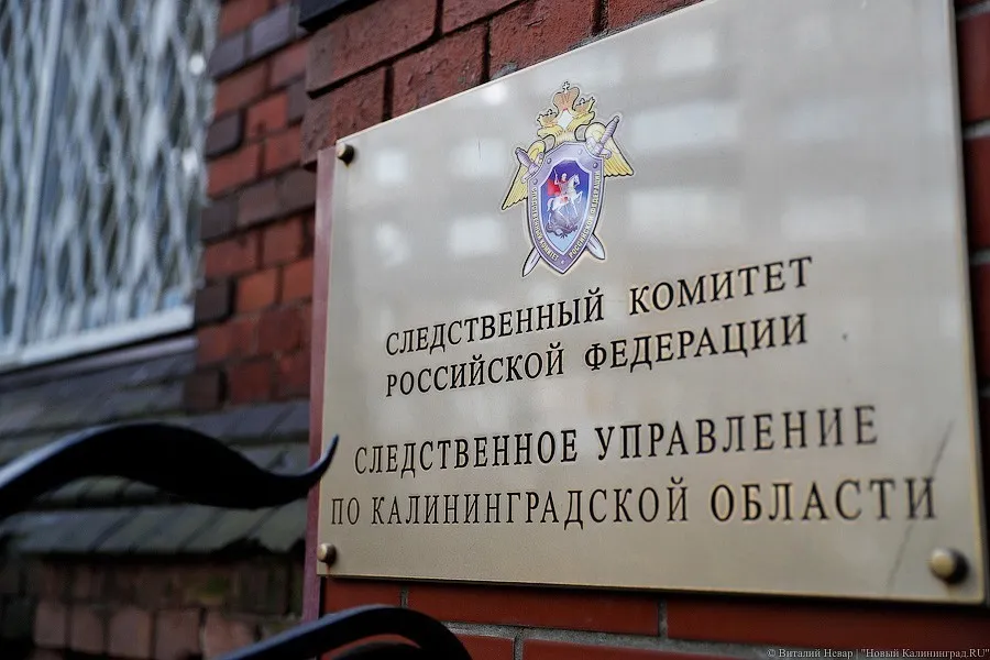 В Калининграде возбудили дело по факту падения дерева на 21-летнюю девушку